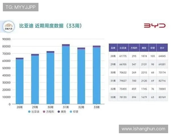 深入探讨北京篮球队战术表现的数据分析与实战应用